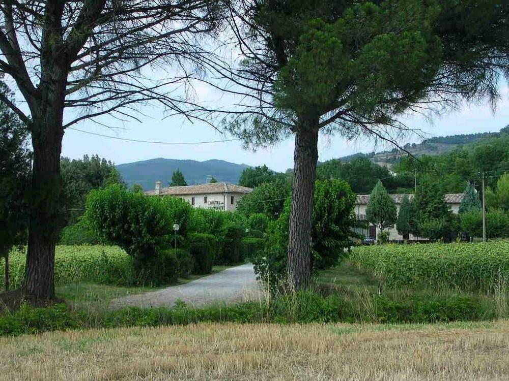 Hotel La Quiete Assisi Exterior foto