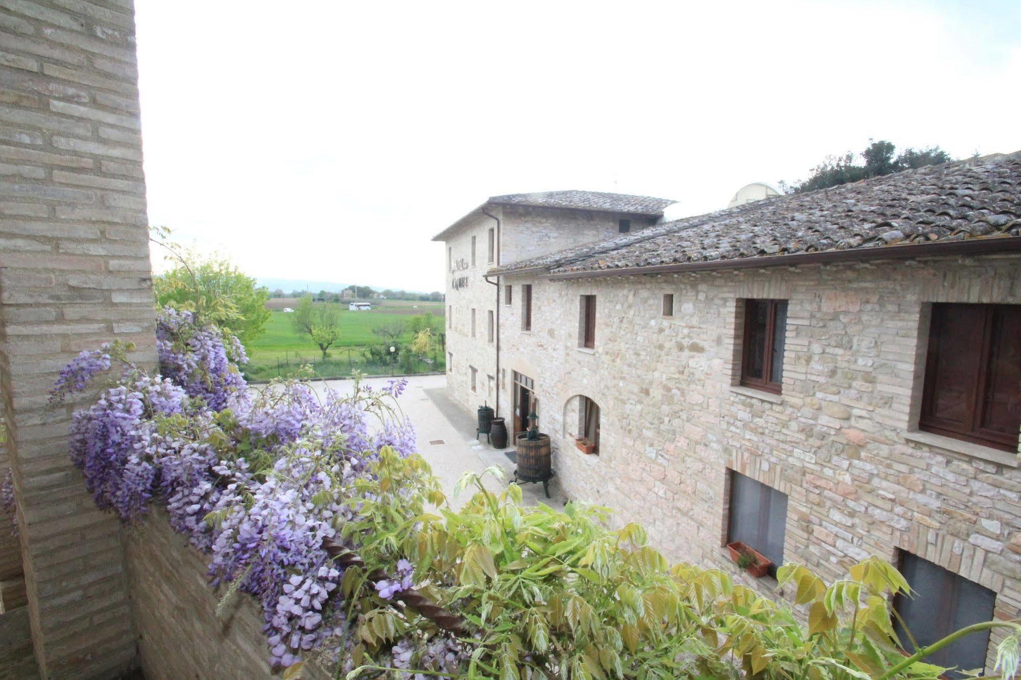 Hotel La Quiete Assisi Exterior foto