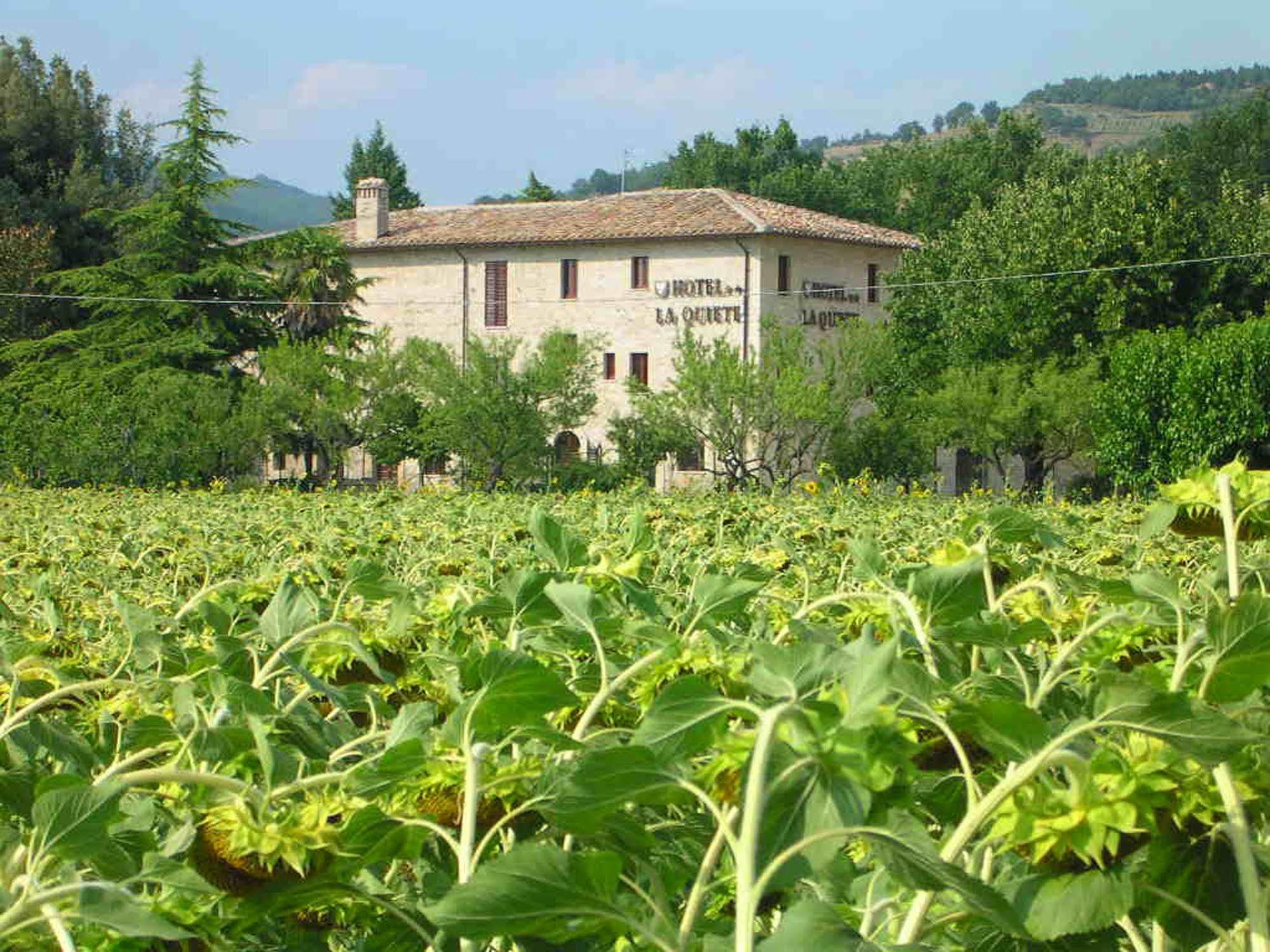 Hotel La Quiete Assisi Exterior foto