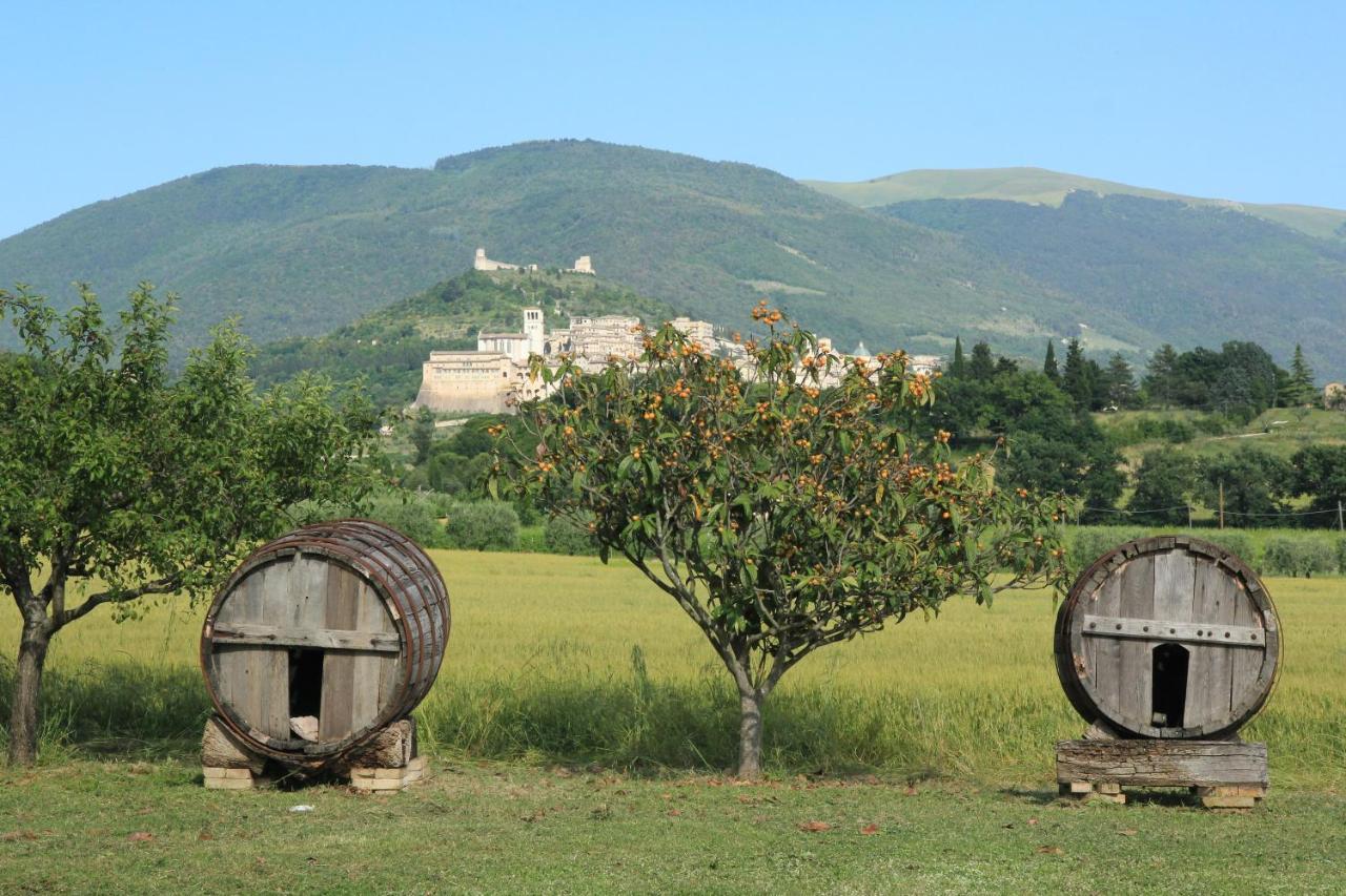 Hotel La Quiete Assisi Exterior foto